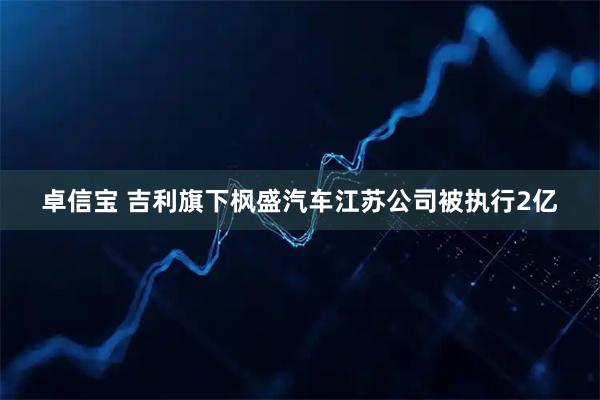卓信宝 吉利旗下枫盛汽车江苏公司被执行2亿