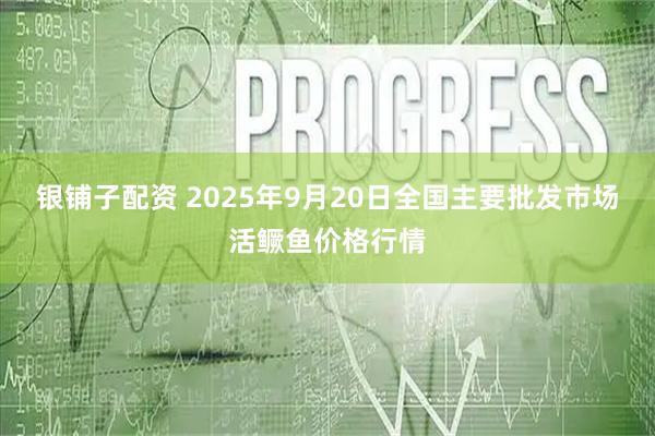 银铺子配资 2025年9月20日全国主要批发市场活鳜鱼价格行情