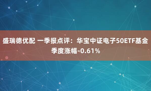 盛瑞德优配 一季报点评：华宝中证电子50ETF基金季度涨幅-0.61%