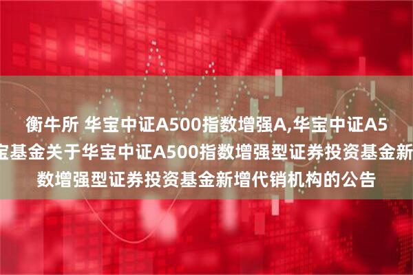 衡牛所 华宝中证A500指数增强A,华宝中证A500指数增强C: 华宝基金关于华宝中证A500指数增强型证券投资基金新增代销机构的公告