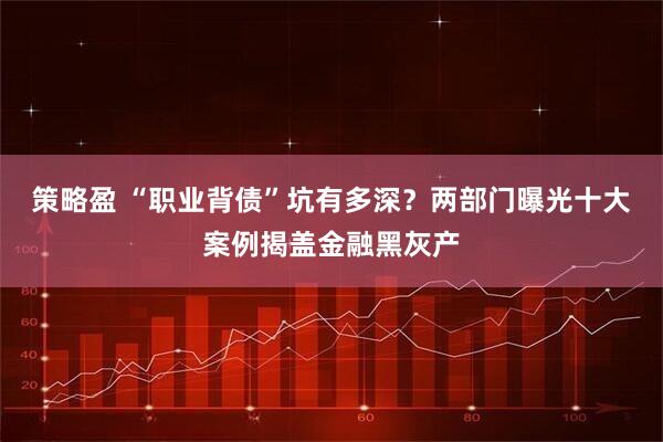 策略盈 “职业背债”坑有多深？两部门曝光十大案例揭盖金融黑灰产