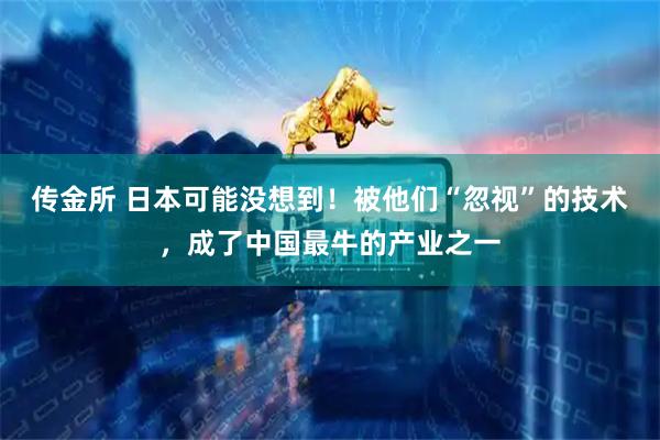 传金所 日本可能没想到！被他们“忽视”的技术，成了中国最牛的产业之一